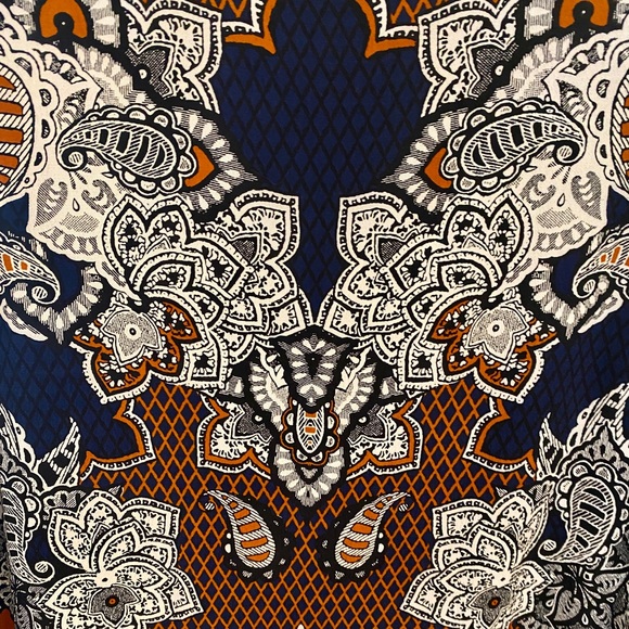 Express Short Sleeve Navy & Burnt Orange Arsty Rayon Paisley Shift Dress - Picture 5 of 11